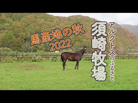 牧場ウマウマ GRANDAME-JAPAN＆DERBY SERIES優勝馬のふるさと／佐藤静子牧場