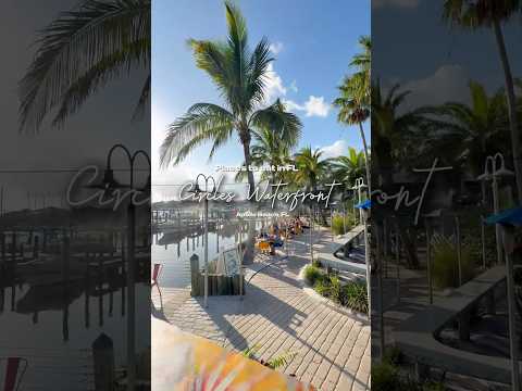 Circles Waterfront in Apollo Beach FL food tampa shorts