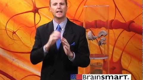 Brain Based Teaching Fact #3