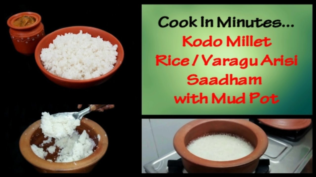How to cook Kodo Millet Rice / Varagu Arisi Saadham Using Mud Pot / மண்