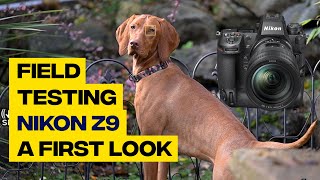 Field Testing the Nikon Z9 - a first look