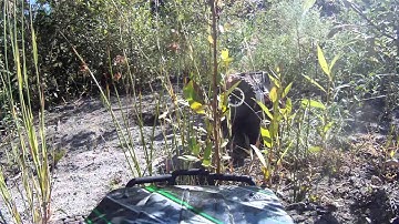 Axial Wraith FPV GoPro Following Axial Jeep Rubicon Mudd water