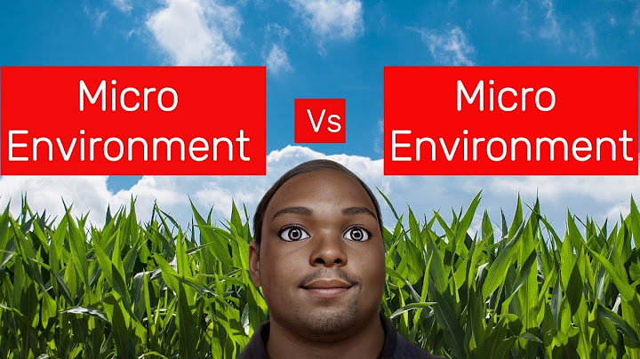 So sánh micro và macro environment năm 2024