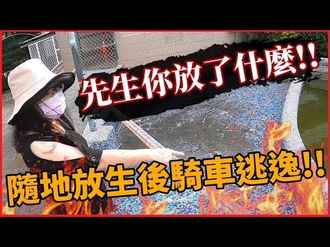 【緊急！】民眾：「先生你放生了什麼！？」話剛說完竟騎機車直接走掉！恐龍在我家EP15