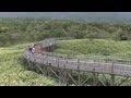 【北海道の絶景】世界自然遺産　知床五湖　 美しき高架木道 　Beautiful elevated Kimichi