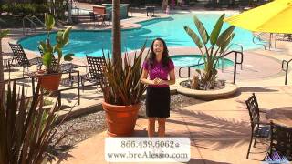 Alessio Apartments Video Tour Los Angeles Youtube Alessio Apartments Video Tour Los Angeles Youtube