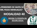 MODALIDAD 40 - PENSIONES DE HASTA 50 MIL PESOS