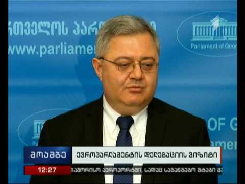 ევროპარლამენტის დელეგაციასთან შეხვედრა