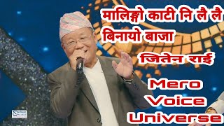 ||मालिङ्गो काटी नि लै लै|| Malingo Kati Nee Lai Lai || Jeeten Rai || Mero Voice Universe ||