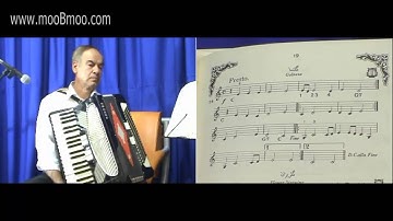 mooBmoo com Accordion E024