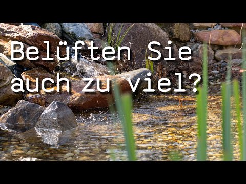 Video: Teichbelüftung Vorteile – Warum sollten Sie einen Bubbler in einem Teich haben?