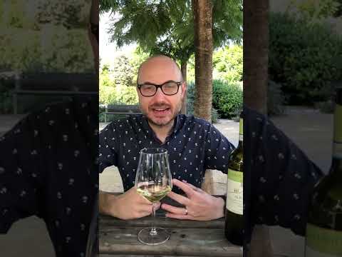 Video: Este dulce vinul verdicchio?