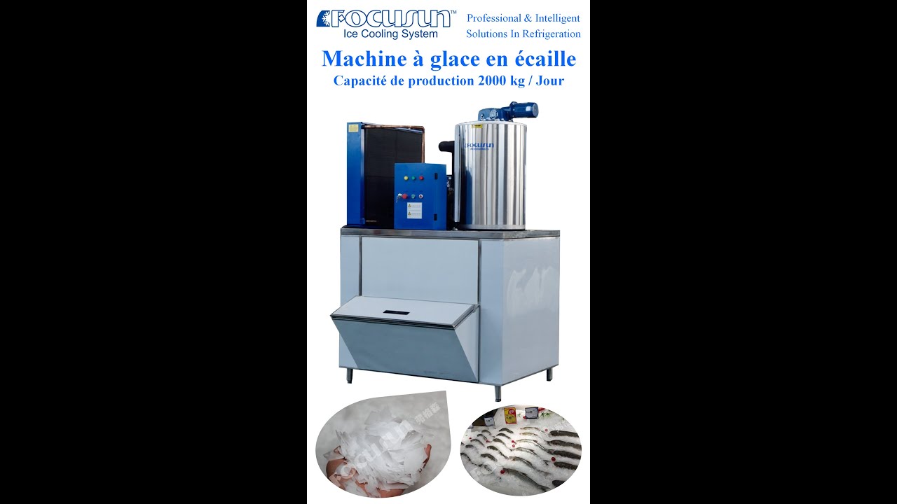 Icesta Machines à glaces