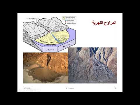 فيديو: ما هو عامل تكوين التربة؟ ما هي عوامل تكوين التربة؟