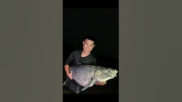 Ngọc Trắm Đen - L.k.Hòa