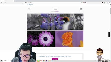 Collage - Introduction to H5P Interactive Contents