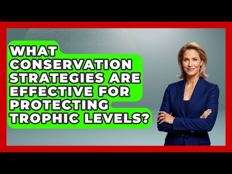 What Conservation Strategies
