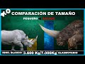 COMPARACIÓN de Tamaño de TODAS Las Especies de Rinocerontes desde el más Pequeño al más GRANDE