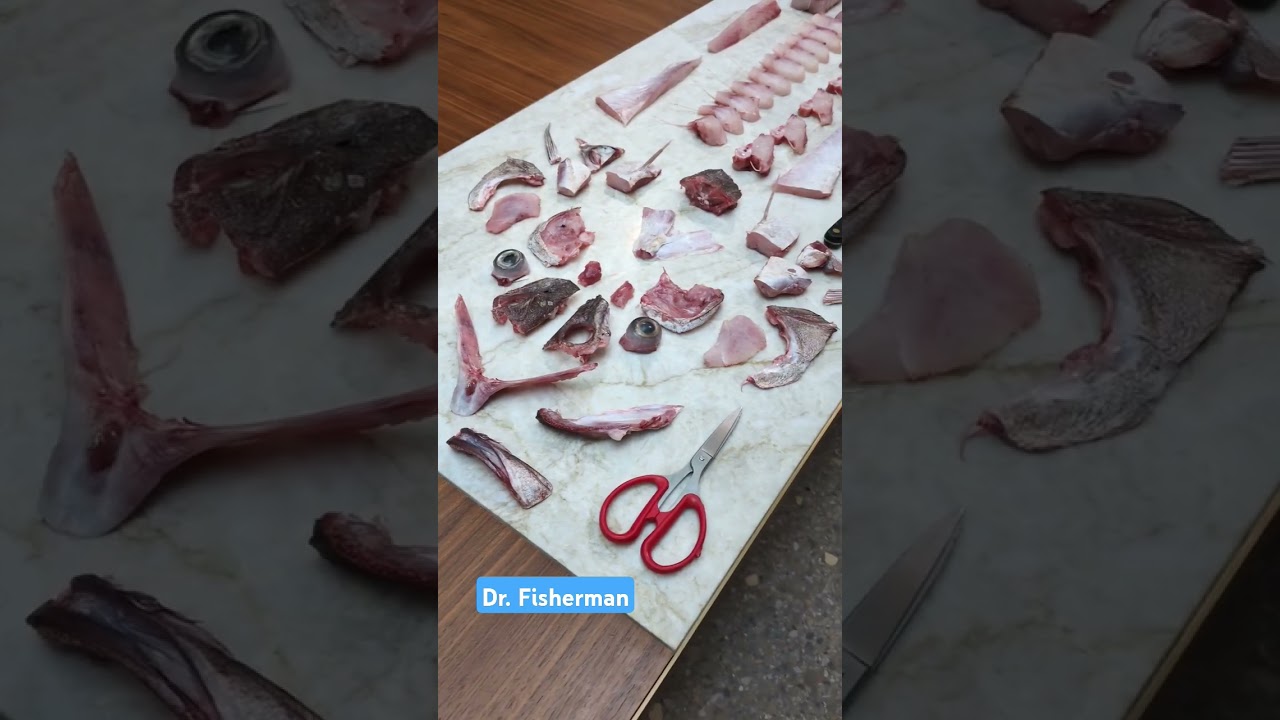 Chef also has one type of doctor see the video . Fisherman 