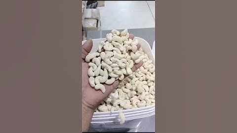 Cashew Nut Ww320 | Available on IndiaMART