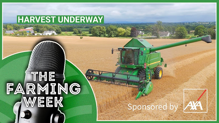 New Nitrates Rules | Harvest 2025 Underway | Shearing Sheep for 50hrs