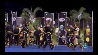 Top Gun All Stars  Large Coed [2014 Senior Large Coed Finals] MultiCam