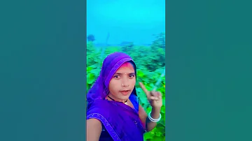 Bollywood Song 