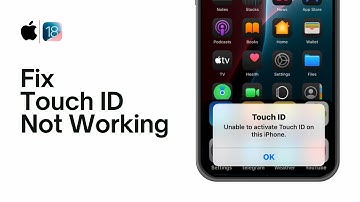 How to Fix Touch ID Not Working/Unable to Activate Touch ID on This iPhone/iPad/iOS 18 Beta