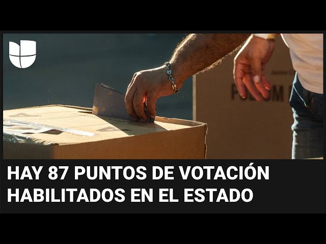 Elecciones en República Dominicana: más de 270,000 personas podrán votar este domingo en Nueva York