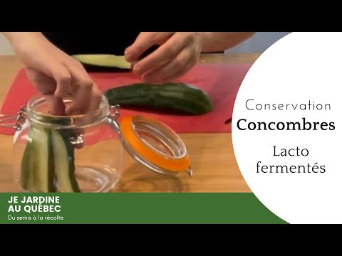 Vidéo: Comment conserver les concombres ?