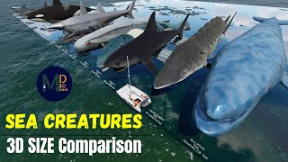 ⚓ Sea Creatures SIZE Comparison || Bloop vs El Gran Maja are the sea monsters ??? 🐉🐲🦀🦦🦞🐌🏄🌴 by Mr Data 3D Stats 2,434 views 1 month ago 5 minutes, 15 seconds