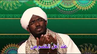 جمال الوجود |محمد البشير هاشم عيد