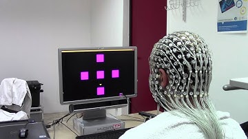 EEG SSVEP Dataset II - Experimental Protocol