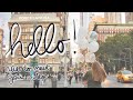 Nice to meet you channel trailer  lizzuplans