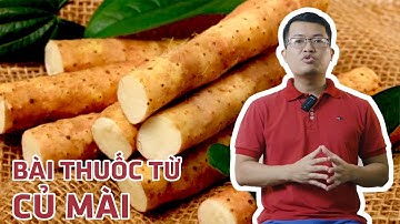 Tìm hiểu thảo dược: Củ mài và một số bài thuốc chữa bệnh từ củ mài