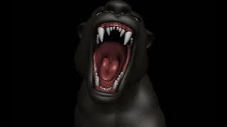A roar animation of a black panther - rigged in BEAR (www.bearigger.com)