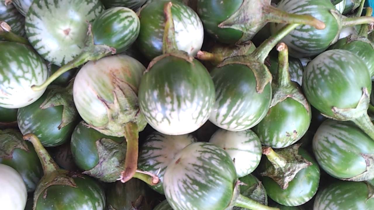 Khmer Vegetable 6.Round Eggplant. YouTube
