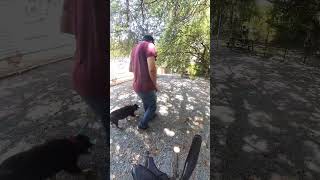 Louie Training Session