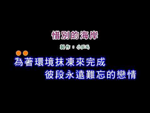 (伴奏版)江蕙-惜別的海岸(DIY卡拉OK字幕)