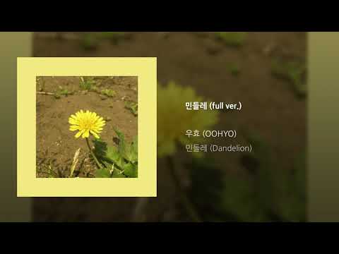 [Official Audio] OOHYO 우효 / Dandelion 민들레 (full ver.)