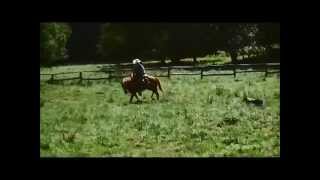 EG HORSES - Zago Spanish in vendita - Quarter Horse