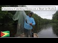 GUYANESE CATCHING HASSA ON A BOAT IN OCALA