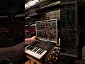 New week, new patch. Let’s get lost in this analog soundscape.🌀🎛️