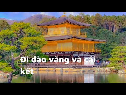 Video: Tại sao kinkakuji lại nổi tiếng?