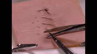 How to Perform a Simple Running Skin Closure: suture travel on top