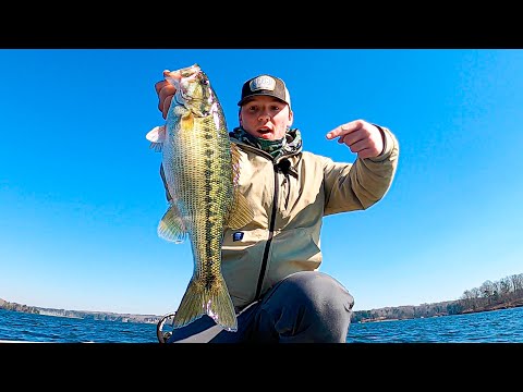 The KEY to Catching BIG Winter Bass - Lake Lanier Fishing 