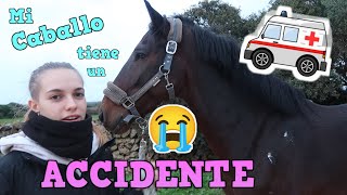 Mi CABALLO se ESCAPA y tiene un ACCIDENTE!!