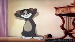 Ytp Tham And Jerrehs Smexy Valentines Day Crapfest