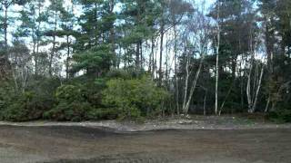 slab common comp 2011