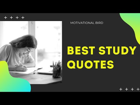 Top 20 Study Quotes |  Best Motivational Quotes |